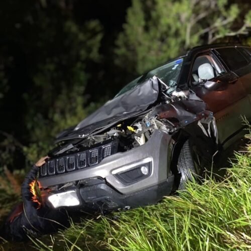 Acidente envolvendo dois carros e uma vaca mobiliza autoridades na RS-030 entre Osório e Tramandaí