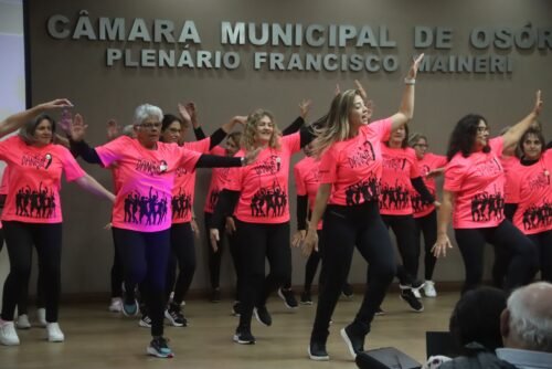 II CONFERÊNCIA MUNICIPAL DA PESSOA IDOSA DE OSÓRIO APROVA PROPOSTAS E ELEGE DELEGADOS PARA EVENTO ESTADUAL