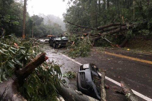Árvore cai sobre carro e mata motorista em Sapucaia do Sul