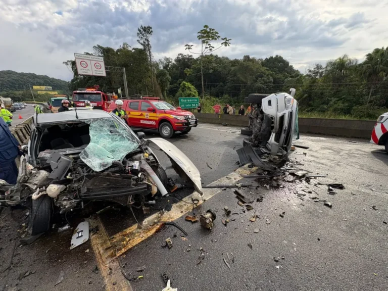 araquarii