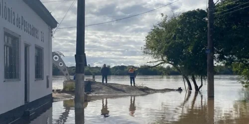 Água transborda e invade a Ilha da Pintada e das Flores em Porto Alegre