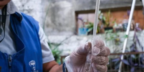 Sobe para 16 o número de mortes por dengue em Porto Alegre