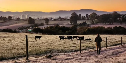 Julho começa com temperaturas negativas e geada no RS