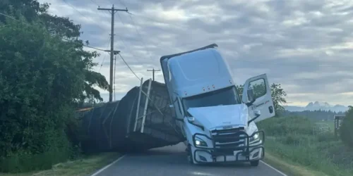 Caminhão tomba e liberta milhões de abelhas nos Estados Unidos