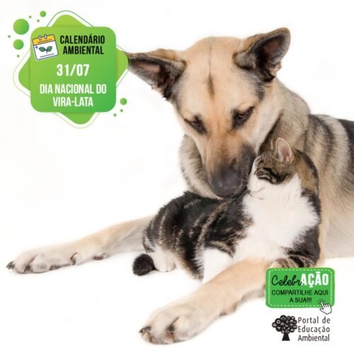 31 de julho – Dia Nacional do Vira-Lata ou Sem Raça Definida (SRD)