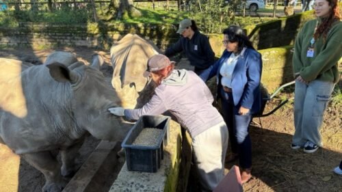 Parque Zoológico reabre aos visitantes com expectativa de público intenso