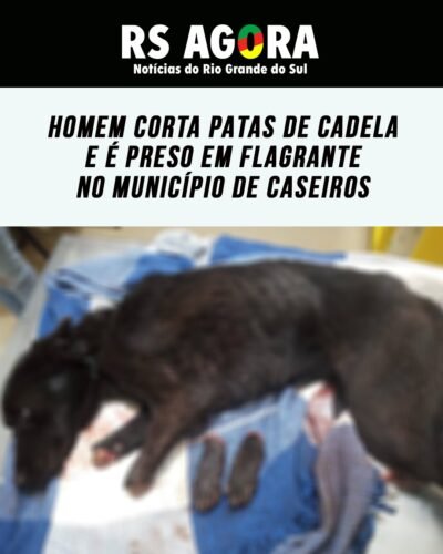 Homem corta patas de uma cadela e é preso em Flagrante no Município de Caseiros, no norte do Rio Grande do Sul