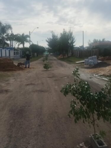 Moradores de Mariápolis usam galhos para sinalizar buracos em rua do distrito