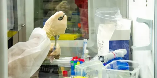 Covid-19: Fiocruz confirma circulação de nova variante no Rio de Janeiro