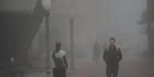 Terça-feira começa com neblina e chance de geada em parte do RS
