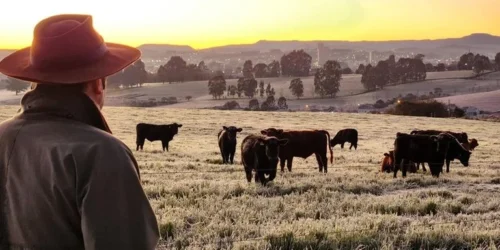 Julho termina com possibilidade de temperatura negativa no RS