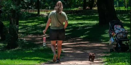 Semana começa com sol e temperatura amena no RS; veja a previsão de Segunda-feira