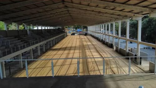 BEBÊ DE TRÊS MESES É PISOTEADO POR BOI EM RODEIO NO PARANÁ