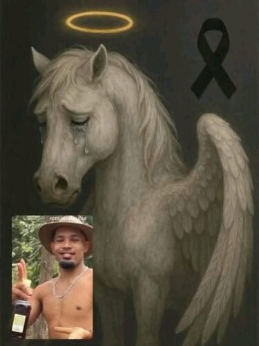 Cavalo tem patas mutiladas em bananal e morte gera emoção nas Redes sociais