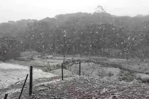 RS registra Neve e Sensação Térmica de -10ºC neste Sábado 7 5384635 7ed068579fc2ee6 1