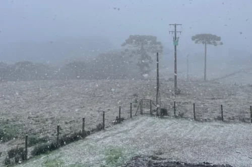RS registra Neve e Sensação Térmica de -10ºC neste Sábado 1 5384637 cc9fe7af050b80e
