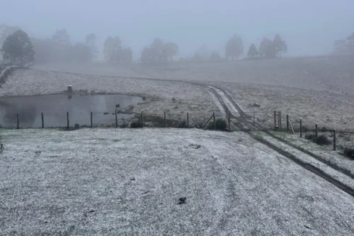RS registra Neve e Sensação Térmica de -10ºC neste Sábado 3 5384639 23161ebd106324b