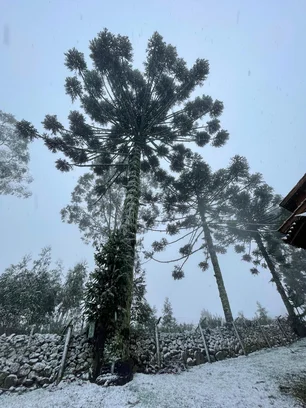 RS registra Neve e Sensação Térmica de -10ºC neste Sábado 2 5384644 307de9e11e32699