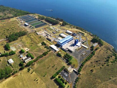 JBS entra no mercado de saúde e beleza com o novo colágeno Genu-in®Life Skin