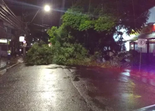 Ciclone extratropical causa temporais e ventania em diversas áreas do RS nesta Terça e Quarta-feira