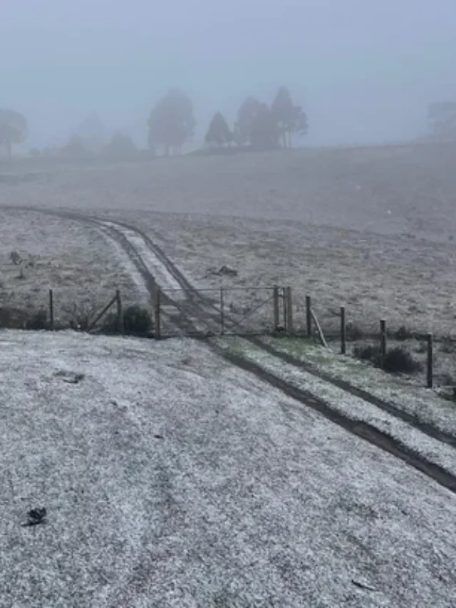 Fotos: Neve em São José dos Ausentes
