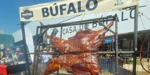 Degustação de assado de carne de búfalo será destaque na Expointer 2025