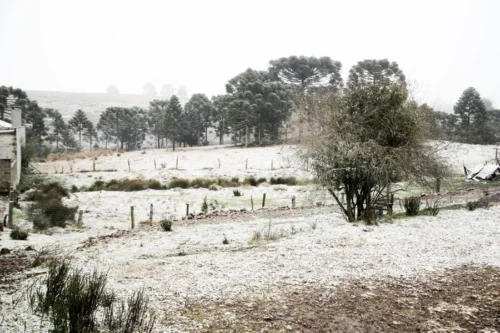 segunda neve do ano sao jose dos ausentes10
