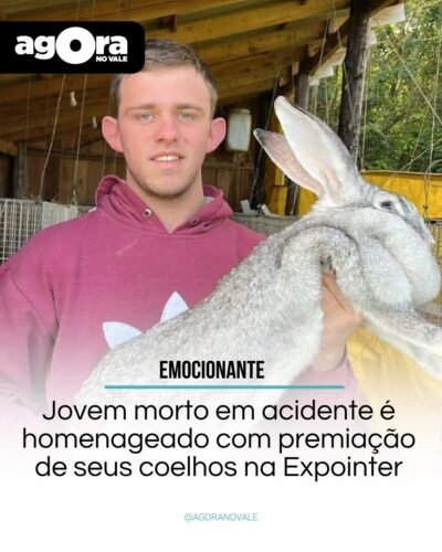 Jovem morto em acidente é homenageado com premiação de seus coelhos na Expointer