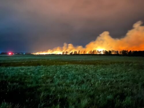 Incêndio de grandes proporções atinge área de mata próximo ao aeroclube de Osório