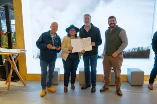 CEEE Equatorial recebe cinco licenças ambientais para investir R$ 22 milhões na ampliação da rede elétrica no Litoral Norte e Região Metropolitana