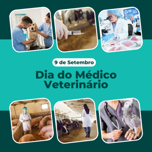 Dia do Médico Veterinário