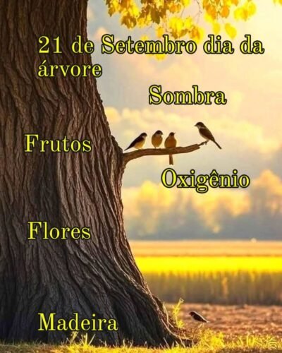 bd37c1e7 a090 42e5 a0c9 e9e457f947ea