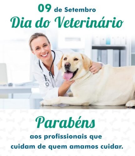 dia nacional do veterinc3a1rio 2016 e1757426647810