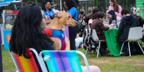 Animais de estimação proporcionam qualidade de vida para a terceira idade