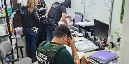 Ex-secretária da causa animal é alvo de operação contra matança de cães e gatos em Canoas