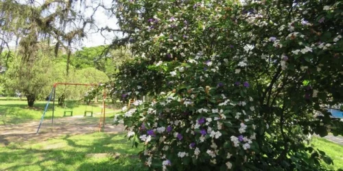 Primavera começa sob influência de ar frio e com chuva em diversos pontos do RS