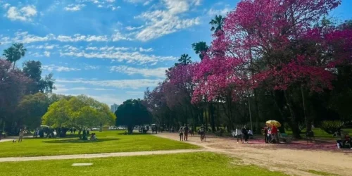Sol e nuvens nesta Sexta-feira antecipam mudança do tempo no RS