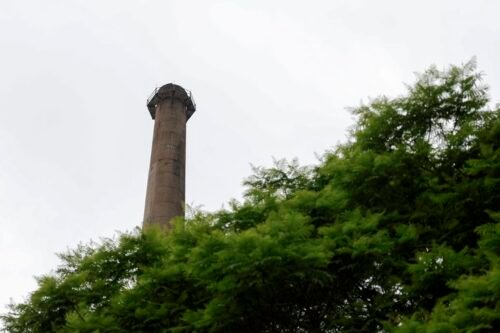 5512929 b331f85a2866d0c