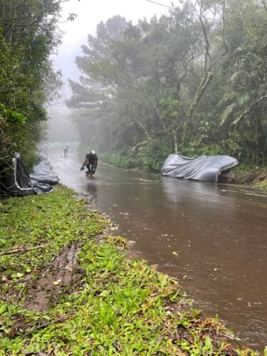 INICIA A 2ª ETAPA DO CIRCUITO GAÚCHO DE SKATE VELOCIDADE NO MORRO DA BORÚSSIA 1 557943585 1234074778761087 7692670988860235729 n