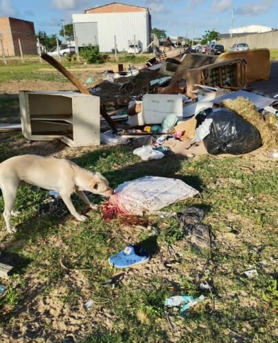 Terreno vira lixão em Osório e até saco com sangue é encontrado