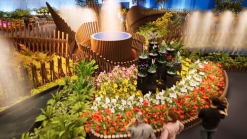 85ª Festa das Flores de Joinville celebra tradição com edição mais florida da história