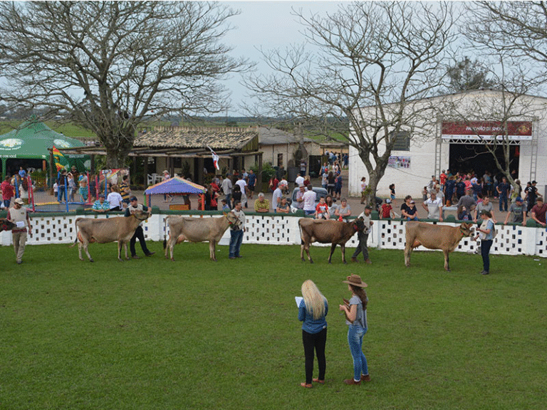 São Lourenço do Sul: 44ª Expofeira termina no domingo (5) 6 Foto redimensionada 2025 10 03T145453.852