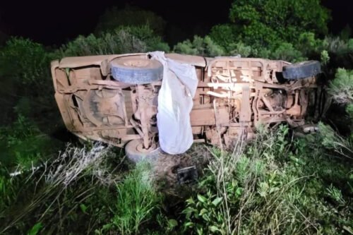 Pai e filha morrem após capotamento e ataque de abelhas na Serra Gaúcha