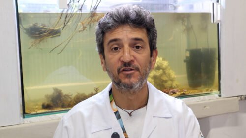 Praias em Santa Catarina sentem forte impacto das mudanças climáticas Praias em Santa Catarina sentem forte impacto das mudanças climáticas