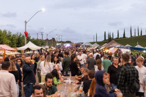 Natal nos Vinhedos reúne mais de 35 experiências enogastronômicas a partir desta Sexta-feira