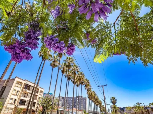 RS terá predomínio do sol e grande amplitude térmica nesta Terça-feira