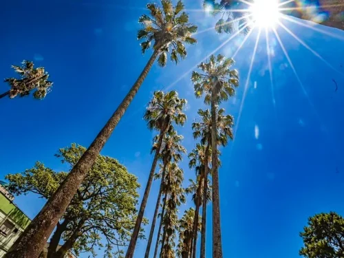 RS terá sábado de sol e calor acima dos 30°C antes de virada no tempo