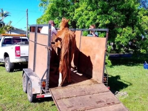 579216094 24755648664106861 3350116320958899928 n