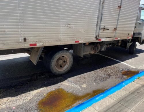 579993749 24783885721283155 6605496124531931915 n