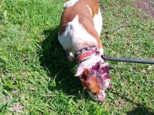 580574813 24755648667440194 3514068100195970894 n